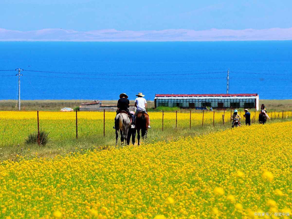 西宁旅游包车电话号码
